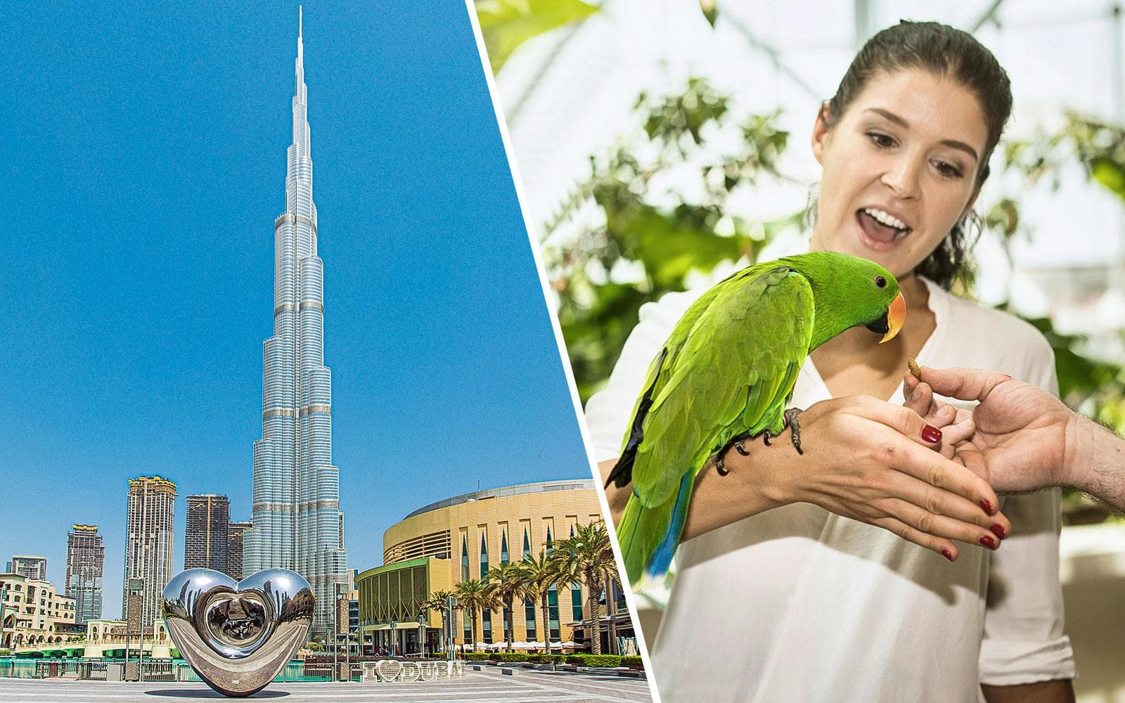Combo (Save 17%): Burj Khalifa At the Top + Green Planet Tickets banner