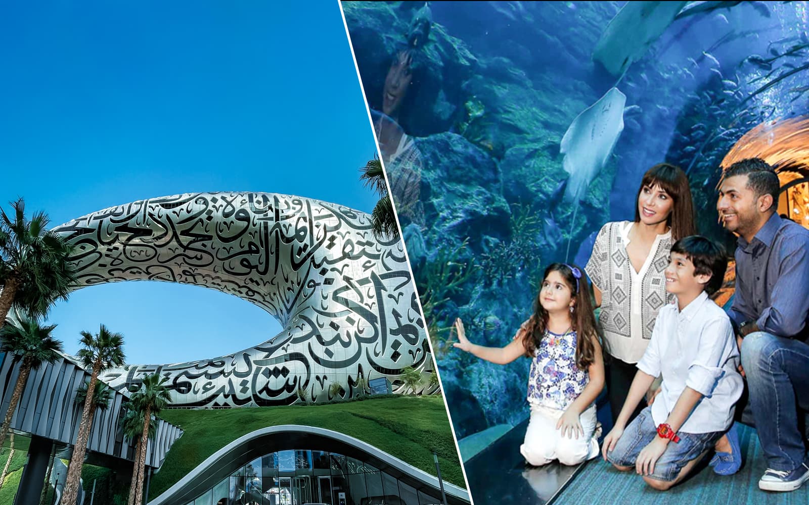 Combo (Save 21%): Museum Of The Future + Dubai Aquarium & Underwater Zoo Tickets banner